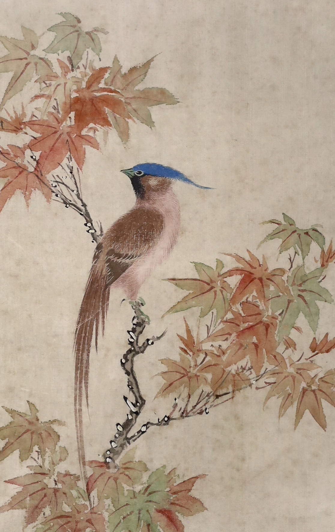 18th / 19th century Chinese School, three watercolours on silk, Birds of Paradise and flowers, largest 26 x 16cm